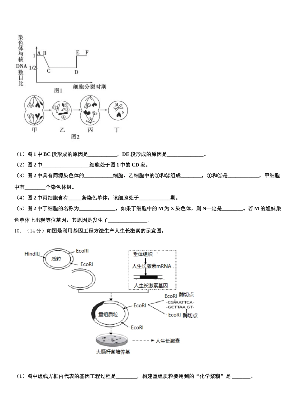 2025届西藏自治区拉萨市西藏自治区拉萨中学高一下生物期末联考试题含解析_第3页