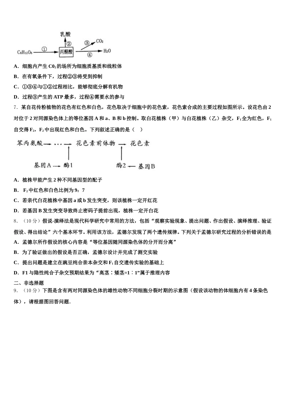 2025年西藏林芝二高生物高一下期末监测模拟试题含解析_第2页