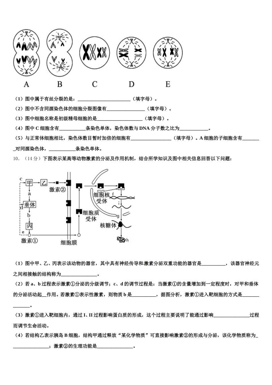 2025年西藏林芝二高生物高一下期末监测模拟试题含解析_第3页
