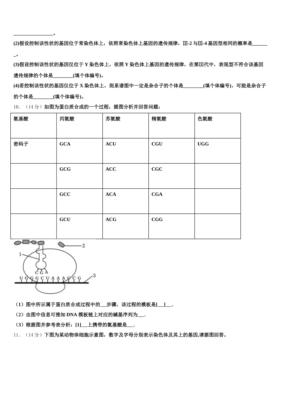 2025年西藏林芝市第一中学高一下生物期末经典模拟试题含解析_第3页