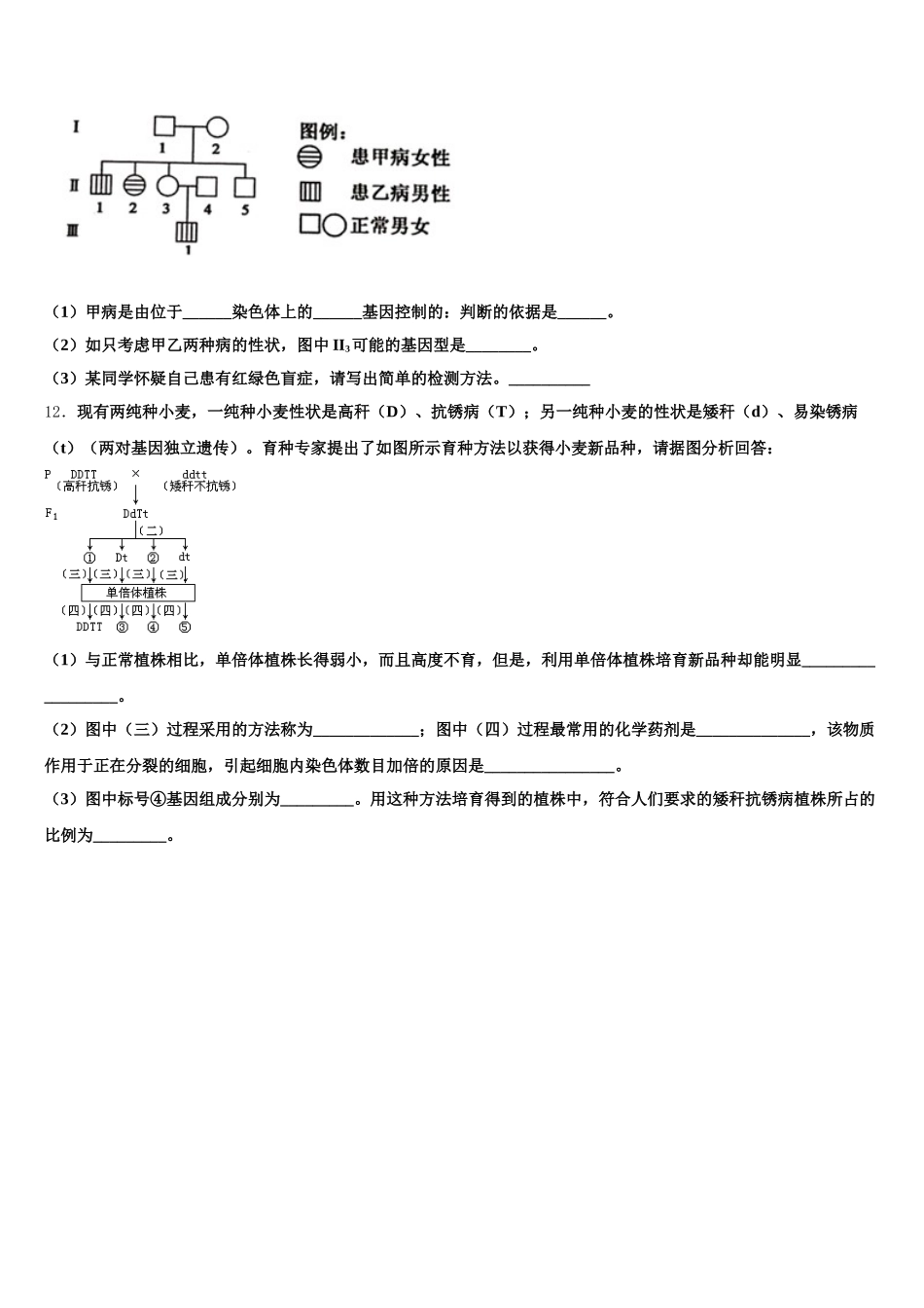 西藏自治区日喀则市南木林高中2025年高一下生物期末复习检测试题含解析_第3页