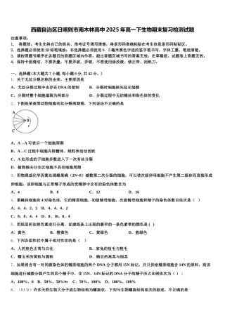 西藏自治区日喀则市南木林高中2025年高一下生物期末复习检测试题含解析