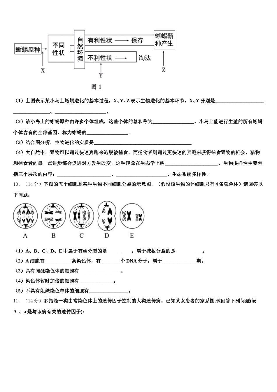2025年西藏林芝地区二高高一下生物期末学业水平测试试题含解析_第3页