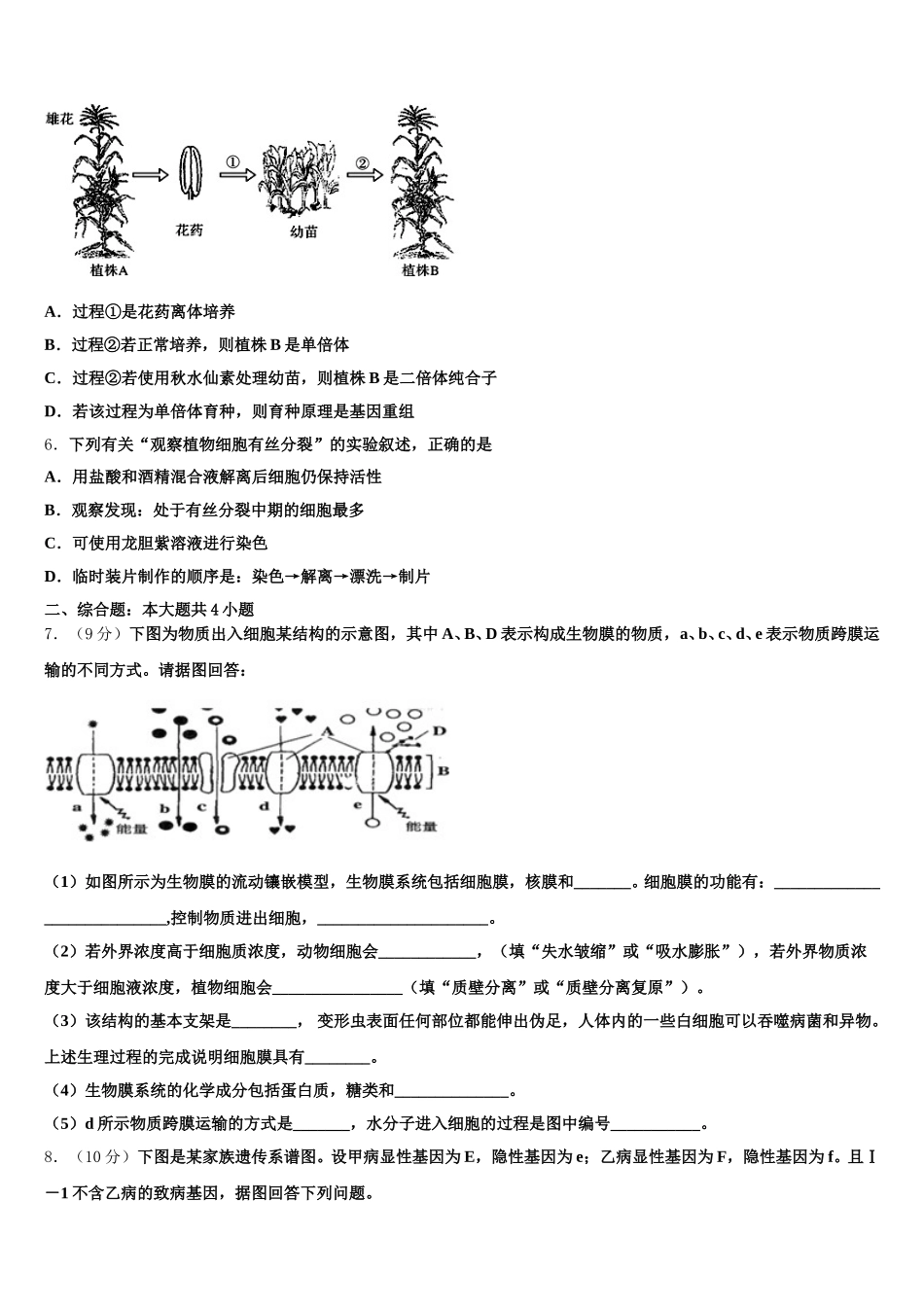 2025届阿里市重点中学生物高一下期末教学质量检测模拟试题含解析_第2页