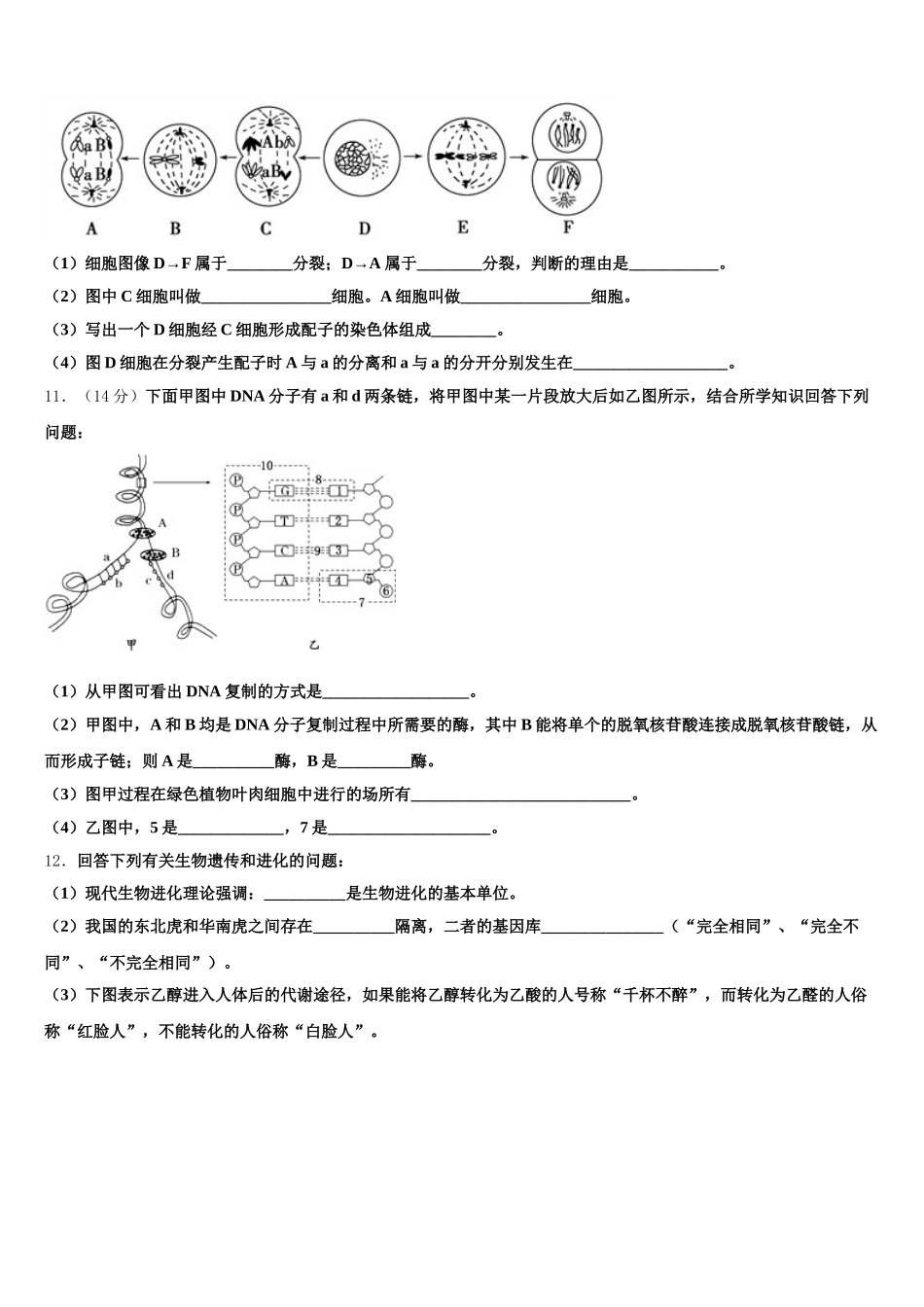 2025届西藏林芝二高高一生物第二学期期末达标检测模拟试题含解析_第3页