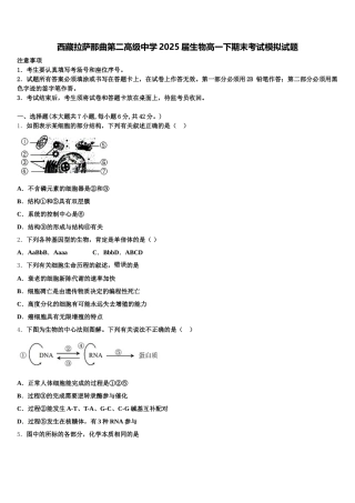 西藏拉萨那曲第二高级中学2025届生物高一下期末考试模拟试题含解析