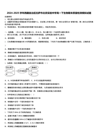 2024-2025学年西藏自治区拉萨市北京实验中学高一下生物期末质量检测模拟试题含解析