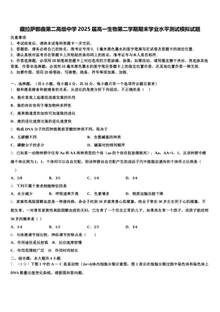 藏拉萨那曲第二高级中学2025届高一生物第二学期期末学业水平测试模拟试题含解析