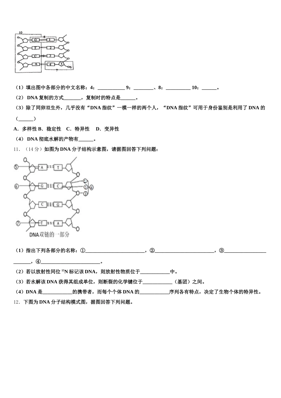 2024-2025学年西藏林芝市第一中学生物高一第二学期期末达标检测模拟试题含解析_第3页