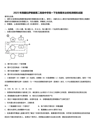 2025年西藏拉萨那曲第二高级中学高一下生物期末达标检测模拟试题含解析