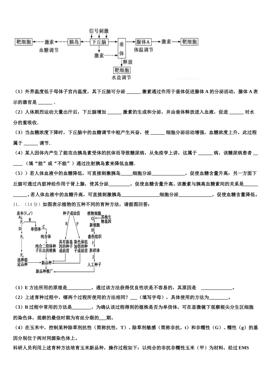 2025年拉萨市高一下生物期末学业水平测试试题含解析_第3页