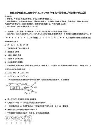 西藏拉萨那曲第二高级中学2024-2025学年高一生物第二学期期末考试试题含解析