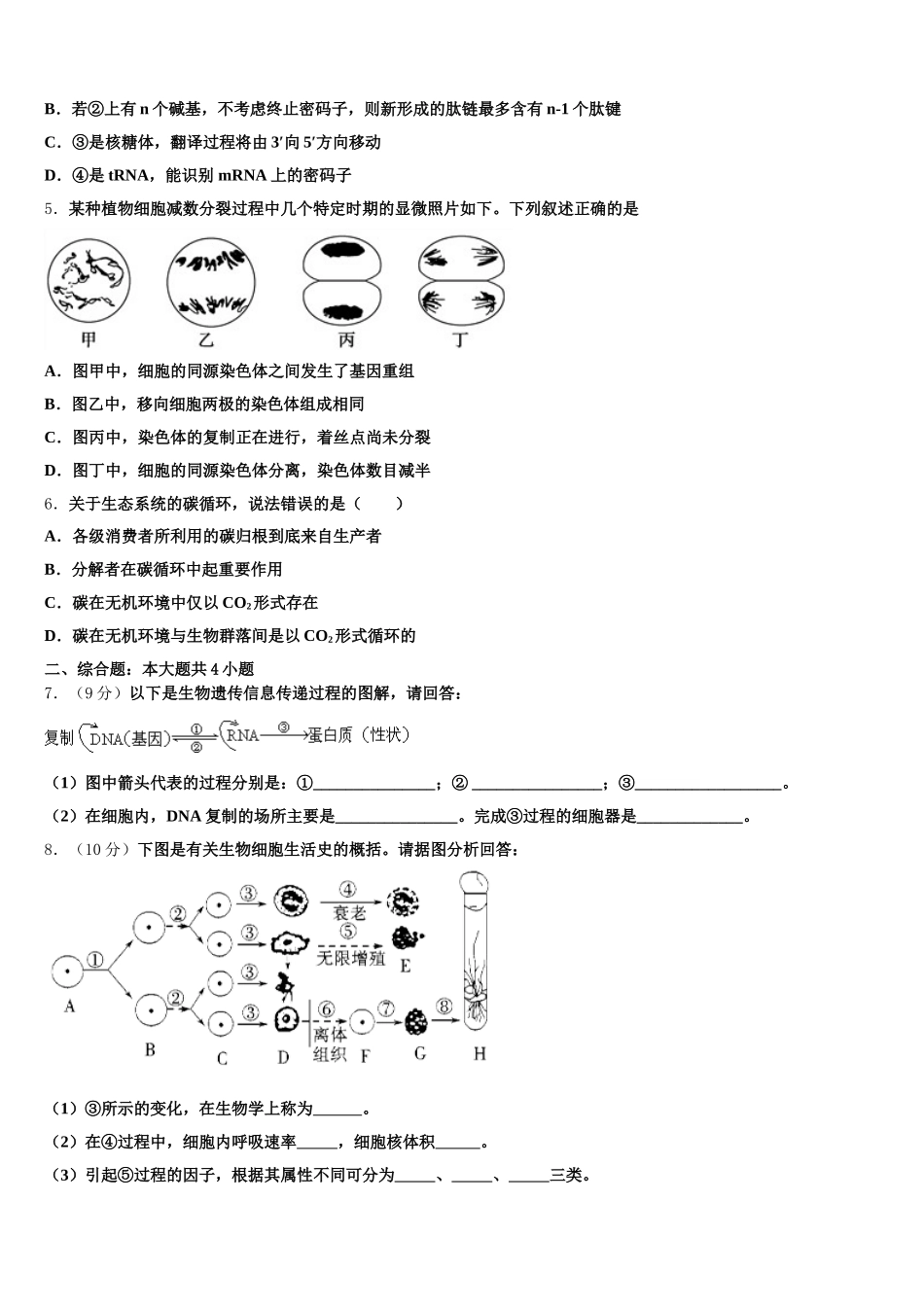 日喀则市2025年高一下生物期末达标测试试题含解析_第2页