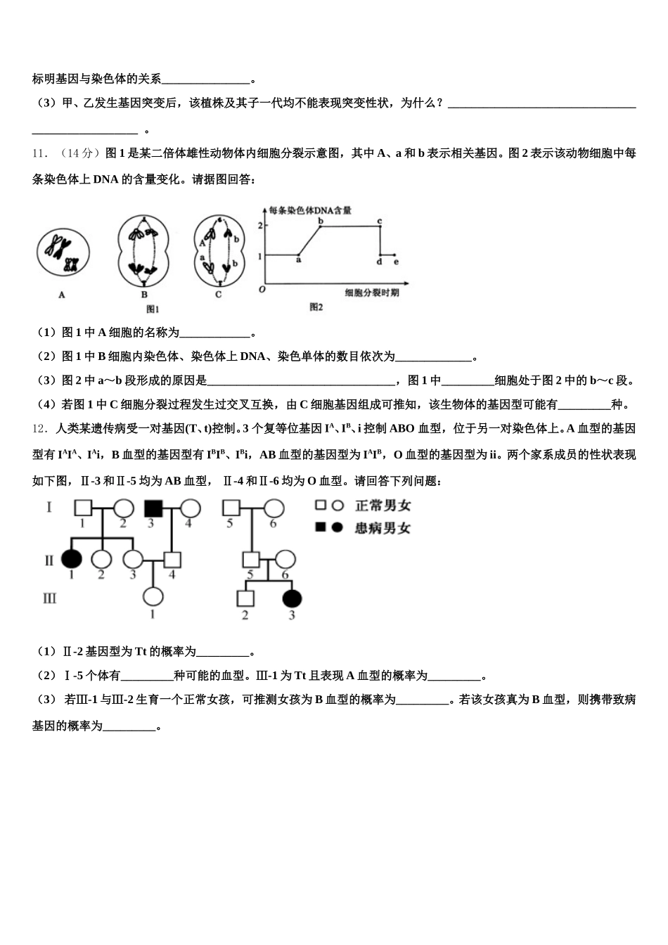西藏山南地区第二高级中学2024-2025学年高一下生物期末监测模拟试题含解析_第3页
