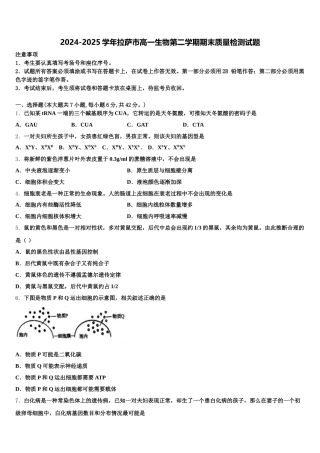 2024-2025学年拉萨市高一生物第二学期期末质量检测试题含解析