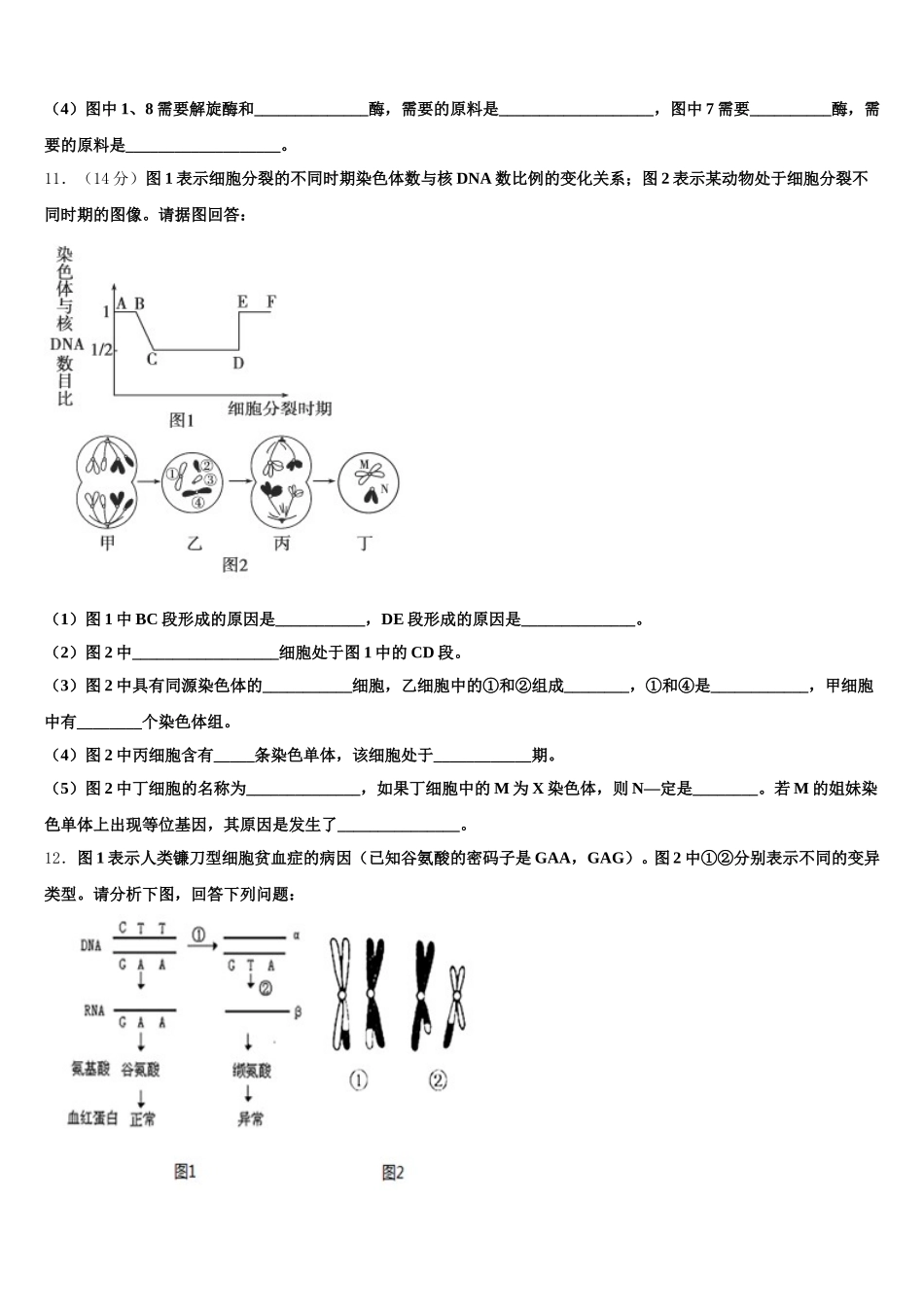 2025年拉萨市生物高一第二学期期末学业水平测试模拟试题含解析_第3页