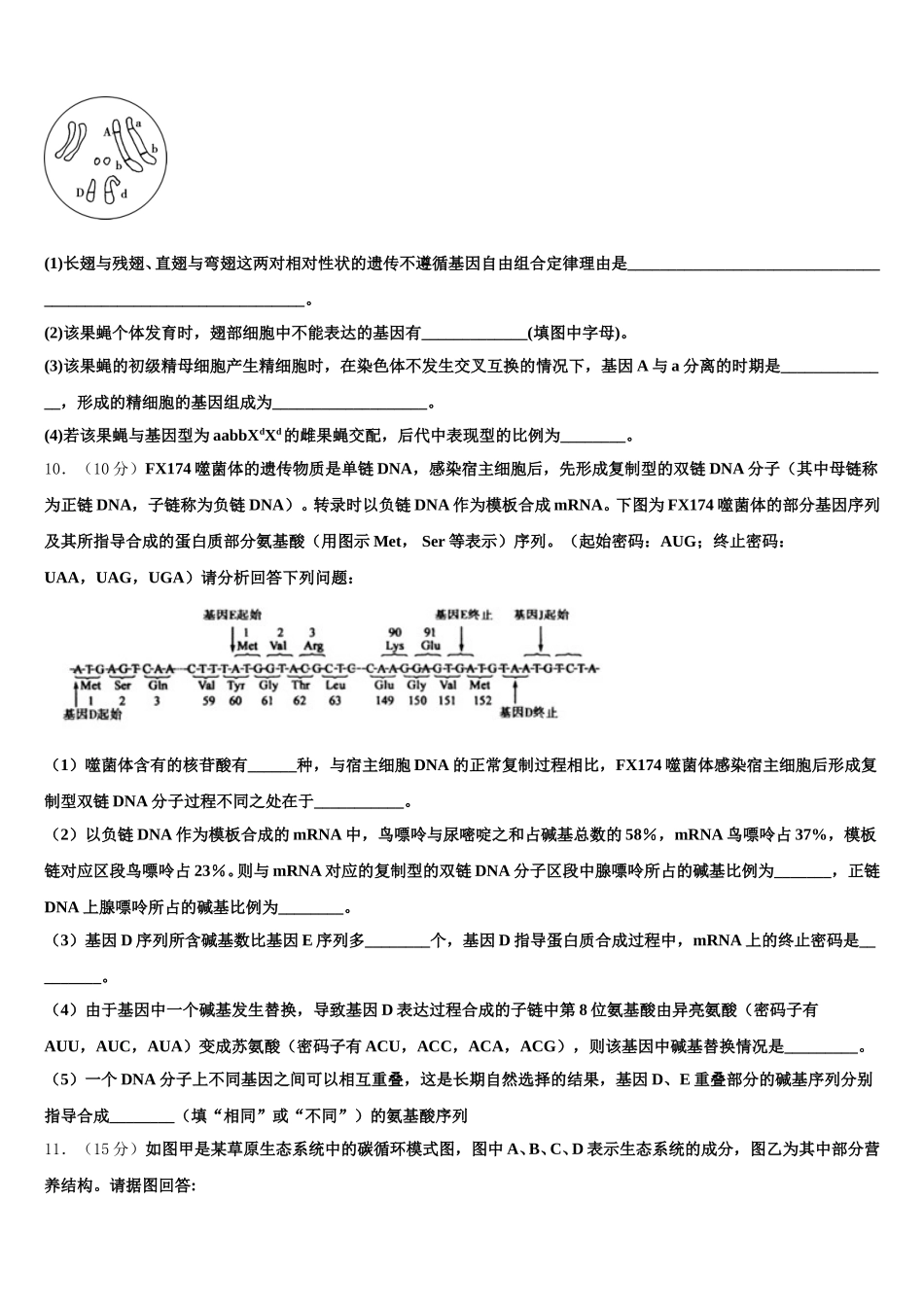 西藏山南地区第二高级中学2024-2025学年高一下生物期末预测试题含解析_第3页