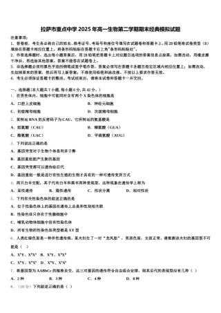 拉萨市重点中学2025年高一生物第二学期期末经典模拟试题含解析