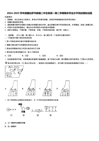 2024-2025学年西藏拉萨市那曲二中生物高一第二学期期末学业水平测试模拟试题含解析