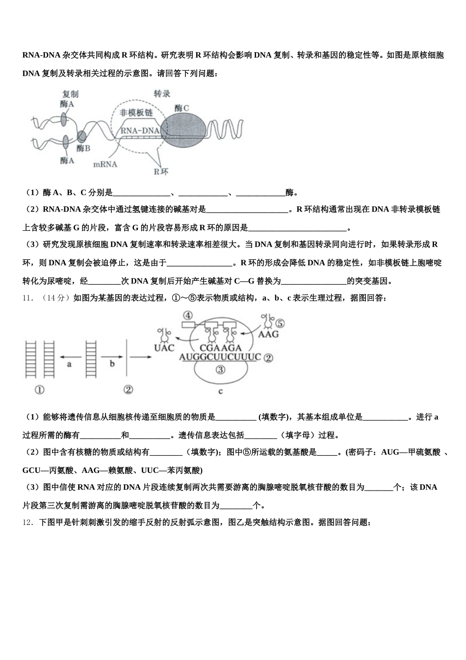 2025年西藏林芝二高高一下生物期末学业质量监测模拟试题含解析_第3页