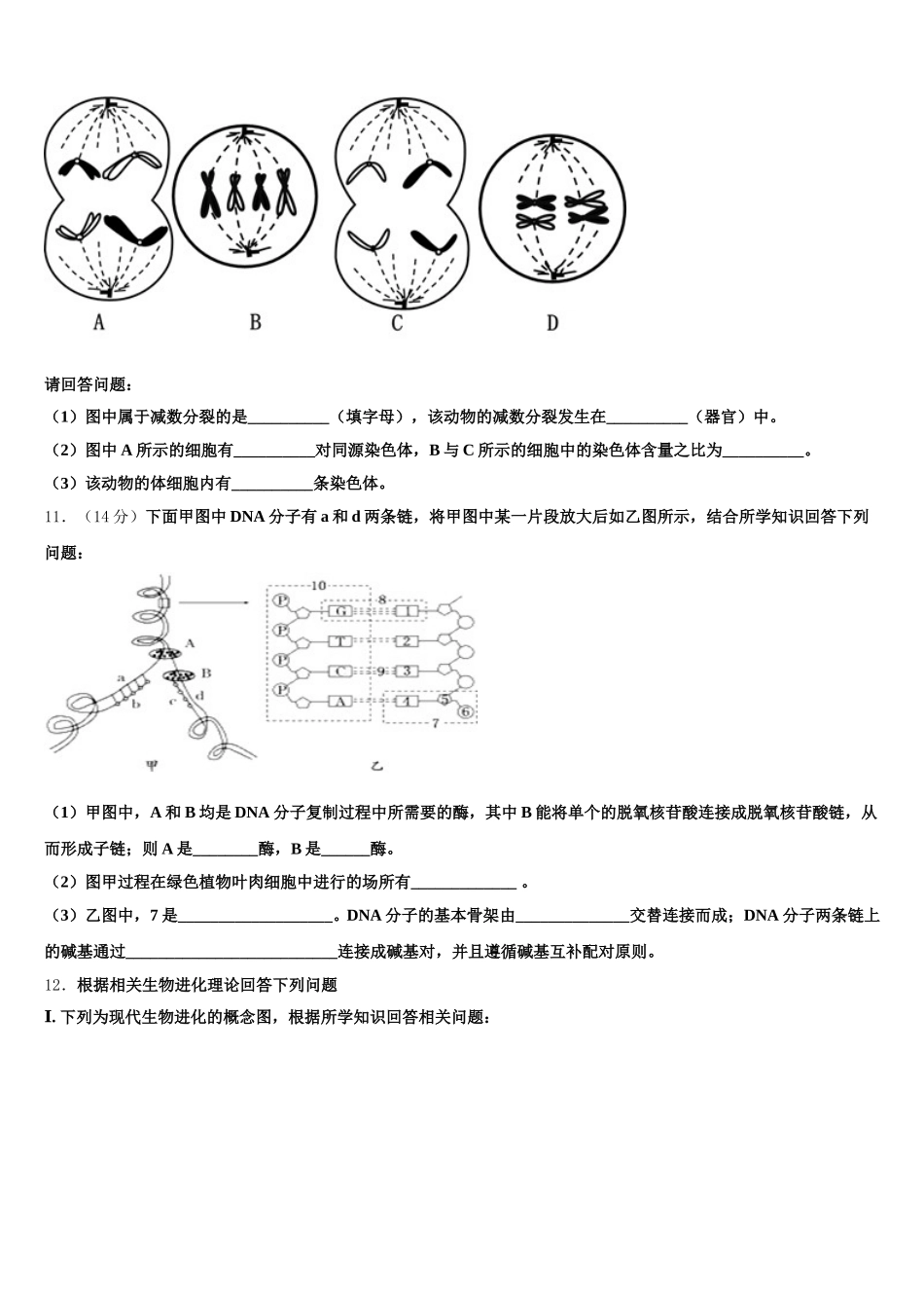 2025届陕西省西藏民族大学附属中学高一下生物期末检测试题含解析_第3页
