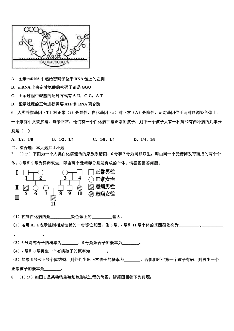 2025届西藏山南地区第二高级中学生物高一下期末统考试题含解析_第2页