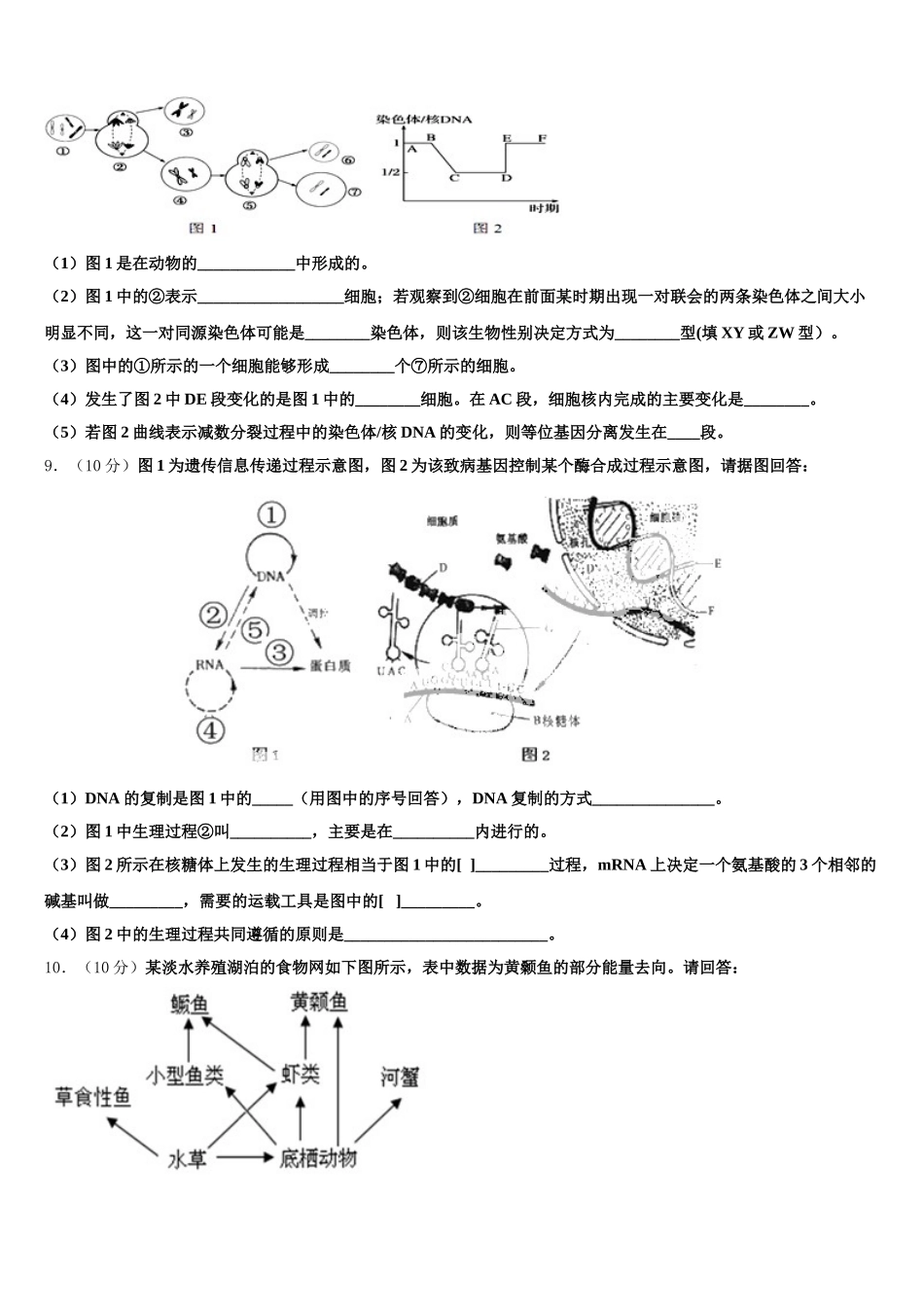 2025届西藏山南地区第二高级中学生物高一下期末统考试题含解析_第3页