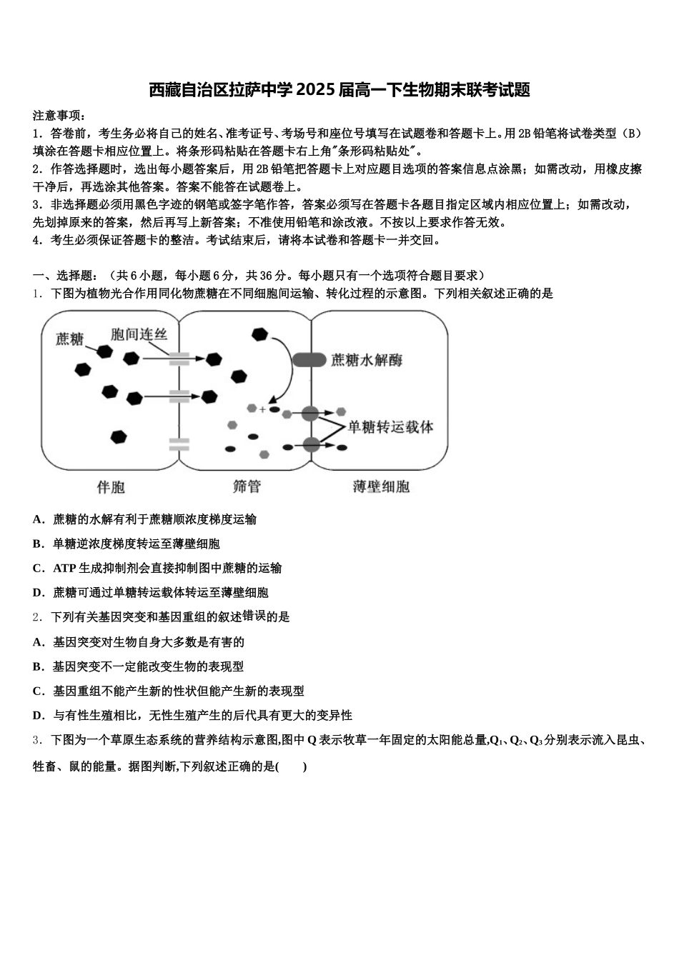 西藏自治区拉萨中学2025届高一下生物期末联考试题含解析_第1页