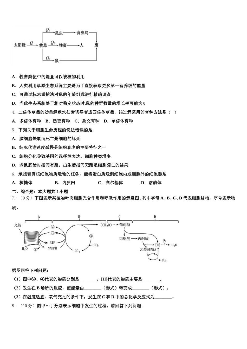 西藏自治区拉萨中学2025届高一下生物期末联考试题含解析_第2页