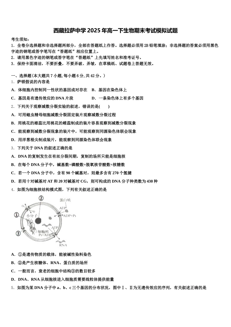 西藏拉萨中学2025年高一下生物期末考试模拟试题含解析_第1页