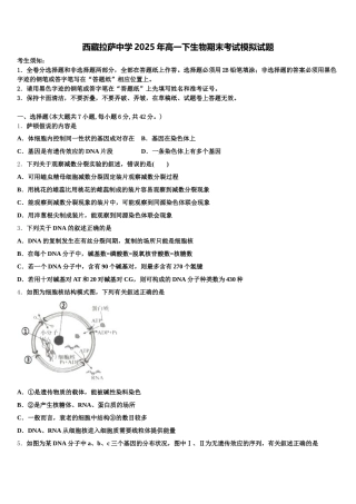 西藏拉萨中学2025年高一下生物期末考试模拟试题含解析