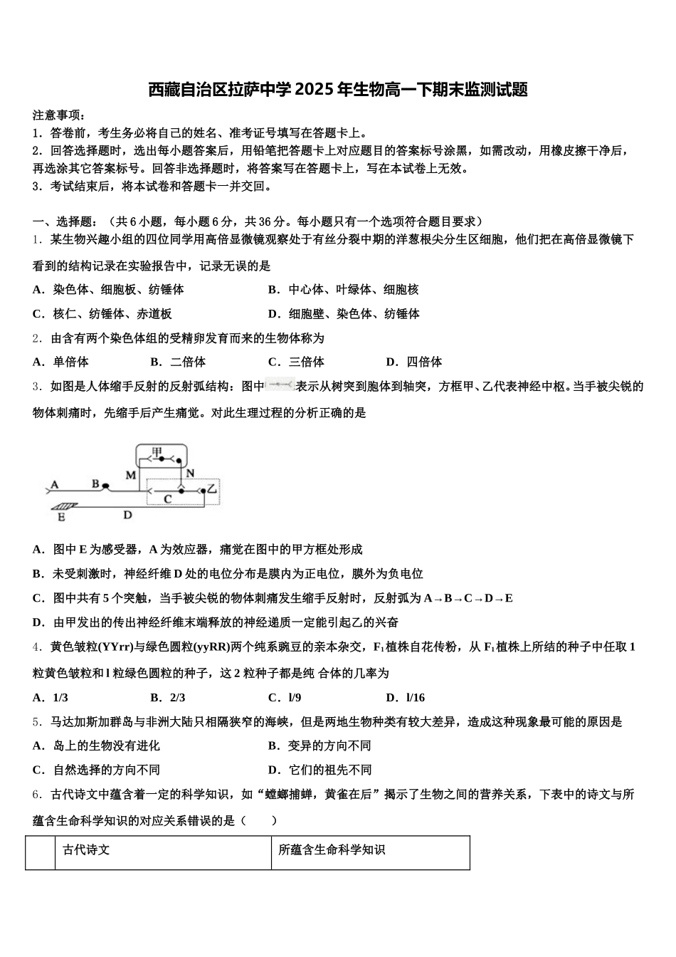 西藏自治区拉萨中学2025年生物高一下期末监测试题含解析_第1页