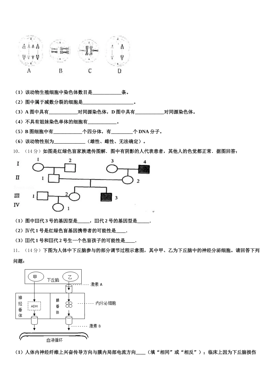 2025年拉萨市高一下生物期末检测模拟试题含解析_第3页