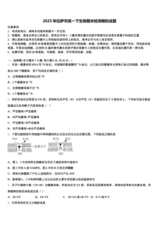 2025年拉萨市高一下生物期末检测模拟试题含解析