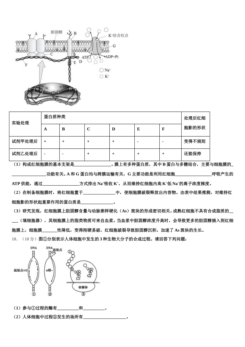 西藏拉萨市10校2025届生物高一下期末质量跟踪监视模拟试题含解析_第3页