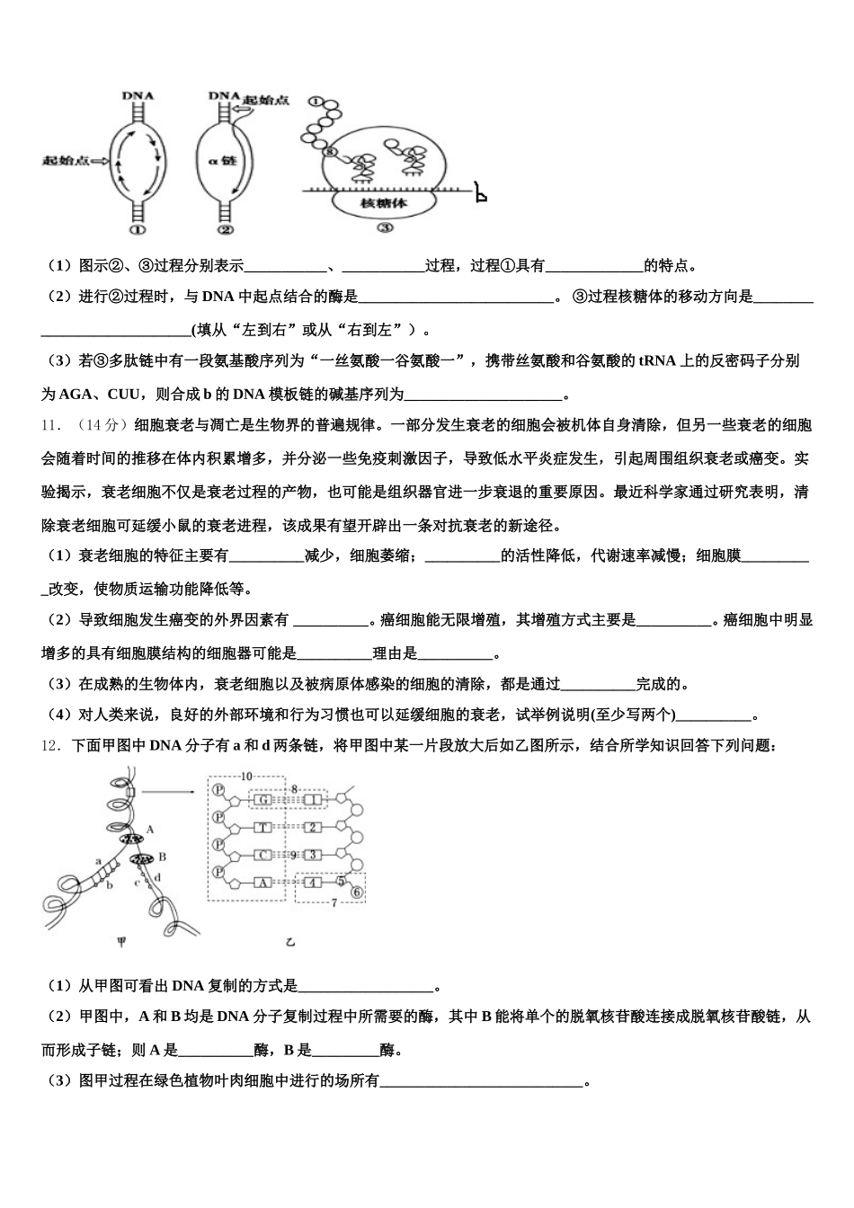 2025届山东省烟台市芝罘区烟台一中生物高一第二学期期末学业质量监测试题含解析_第3页