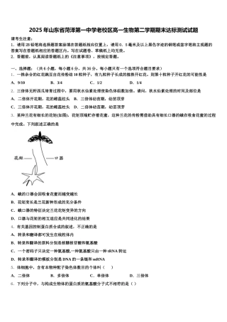 2025年山东省菏泽第一中学老校区高一生物第二学期期末达标测试试题含解析