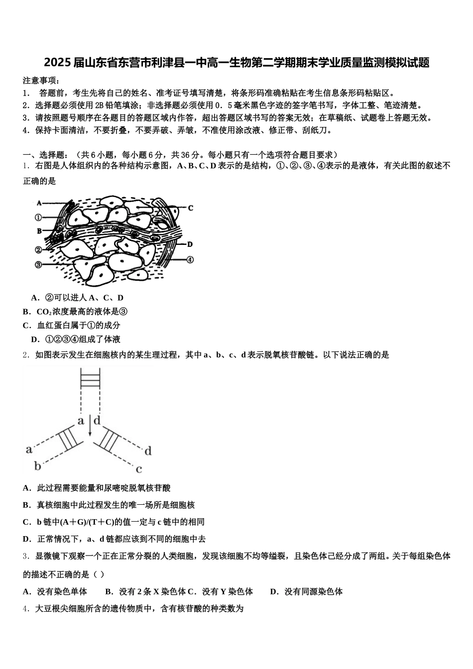 2025届山东省东营市利津县一中高一生物第二学期期末学业质量监测模拟试题含解析_第1页