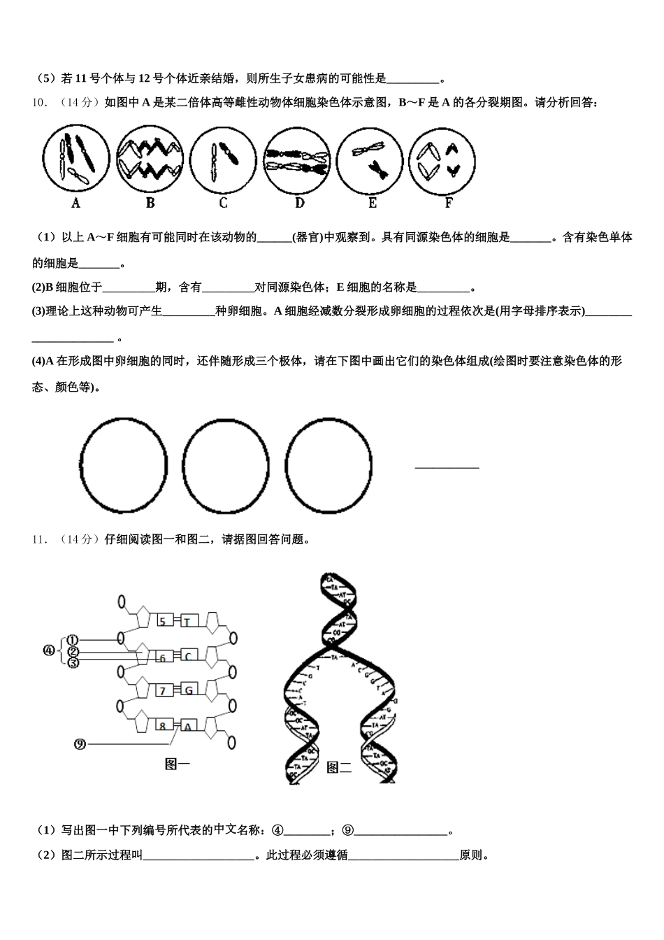 2025年山东省实验中学、淄博实验中学、烟台一中、莱芜一中四校高一生物第二学期期末达标检测模拟试题含解析_第3页
