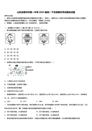 山东省莱州市第一中学2025届高一下生物期末考试模拟试题含解析