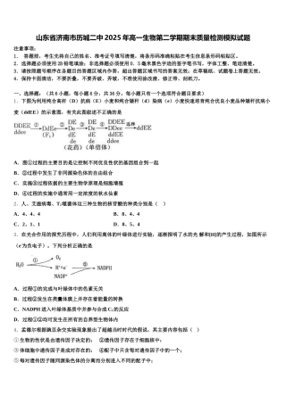 山东省济南市历城二中2025年高一生物第二学期期末质量检测模拟试题含解析