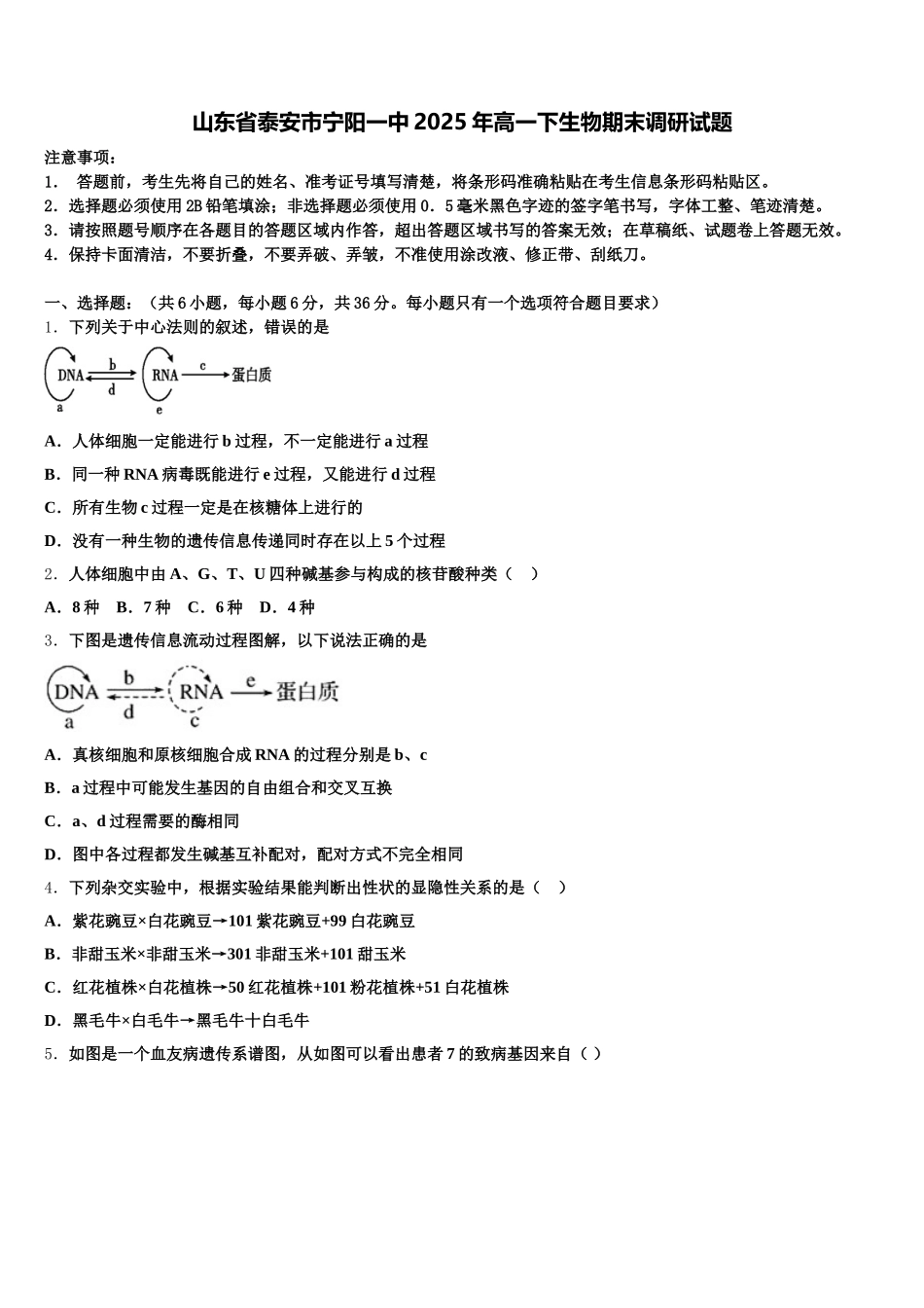 山东省泰安市宁阳一中2025年高一下生物期末调研试题含解析_第1页