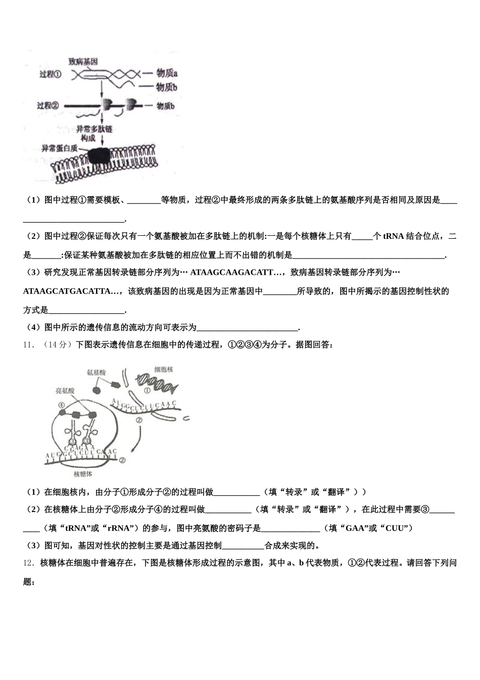 山东省淄博第七中学2025届高一下生物期末联考试题含解析_第3页