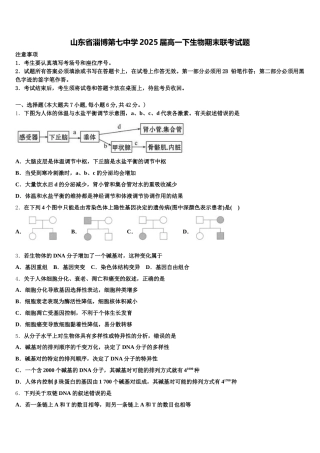 山东省淄博第七中学2025届高一下生物期末联考试题含解析