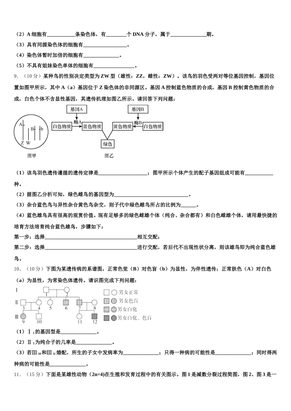 山东省平度市第九中学2024-2025学年高一生物第二学期期末学业水平测试试题含解析_第3页