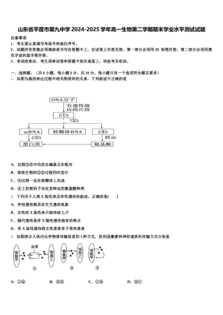 山东省平度市第九中学2024-2025学年高一生物第二学期期末学业水平测试试题含解析