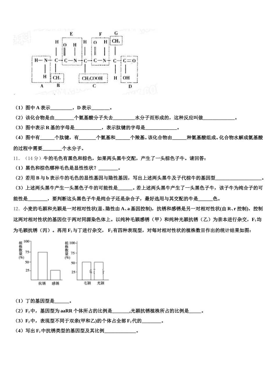 2025年山东省泰安九中生物高一下期末经典试题含解析_第3页