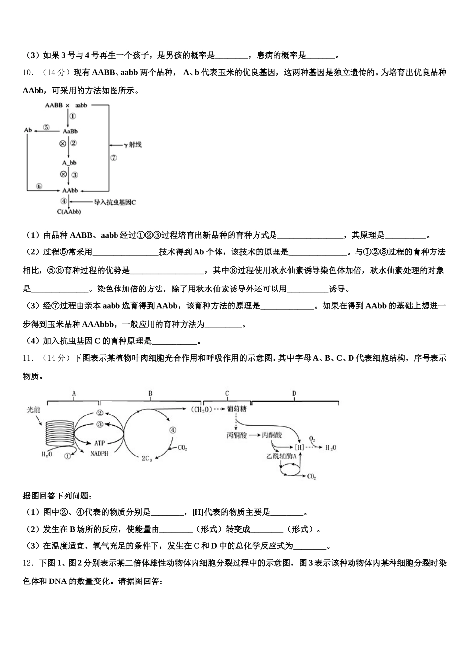 莱芜市重点中学2025年生物高一下期末统考模拟试题含解析_第3页