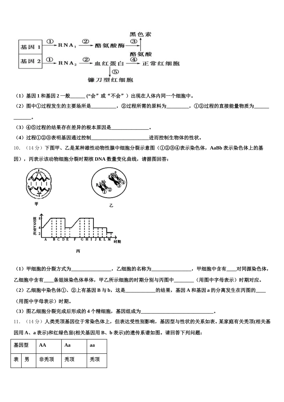 2024-2025学年山东省泰安市新泰市第二中学生物高一第二学期期末教学质量检测模拟试题含解析_第3页