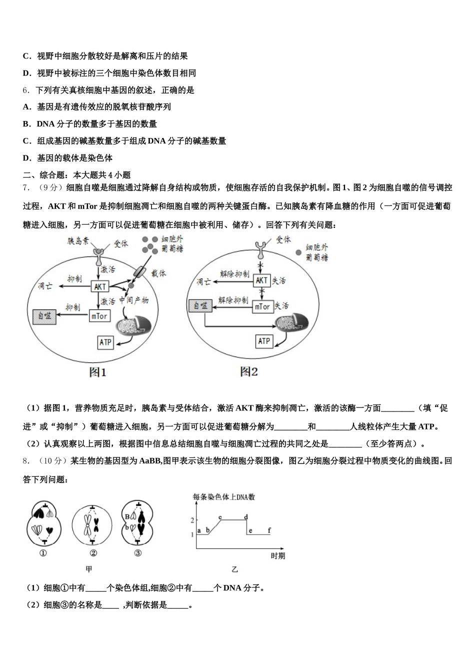 2024-2025学年山东省邹平县黄山中学生物高一下期末学业质量监测模拟试题含解析_第2页